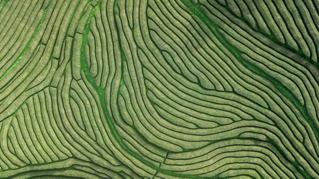 Safeguarding legacy, culture, and community for generations