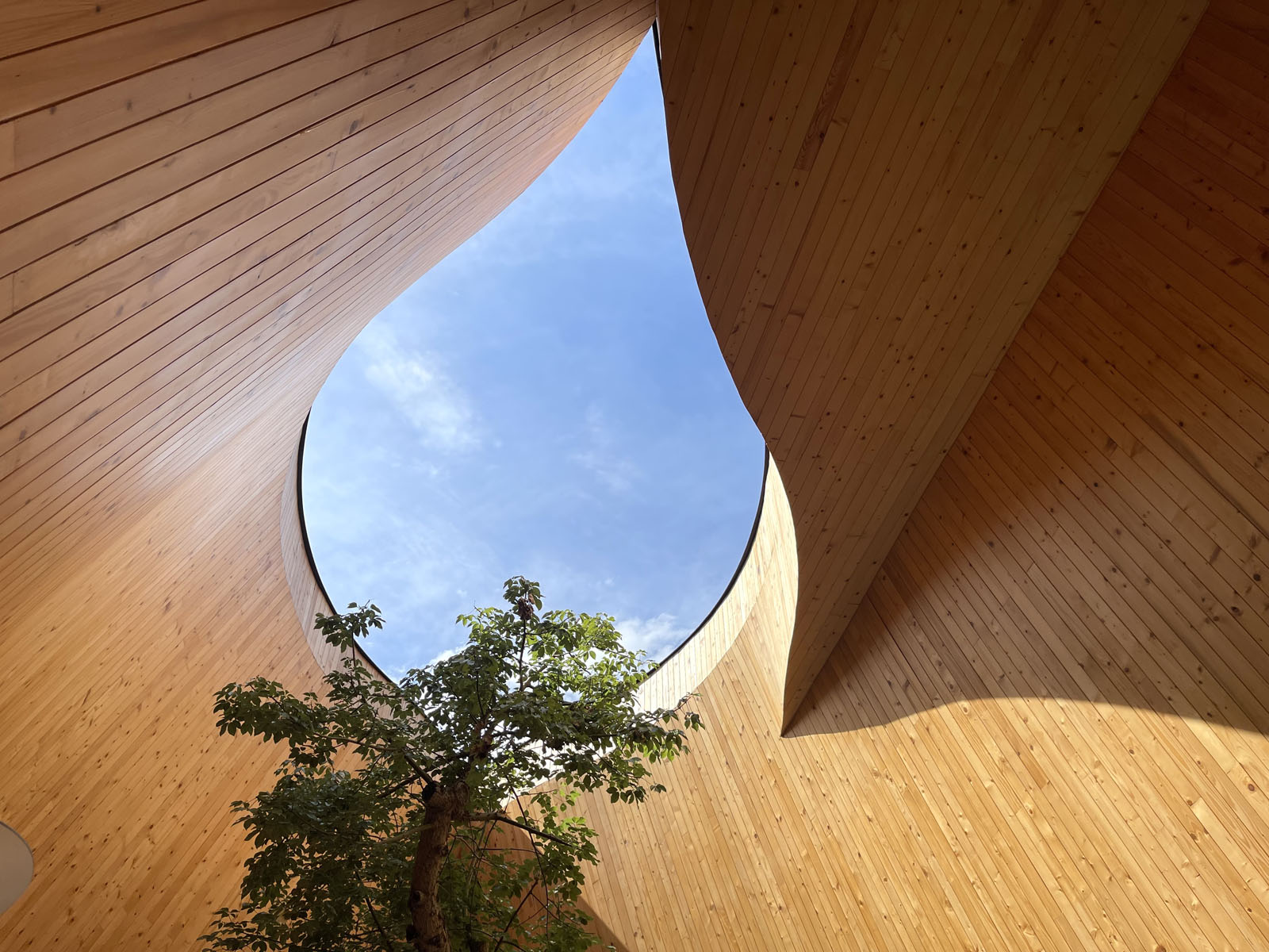 Enabling future-ready operations through structured procurement