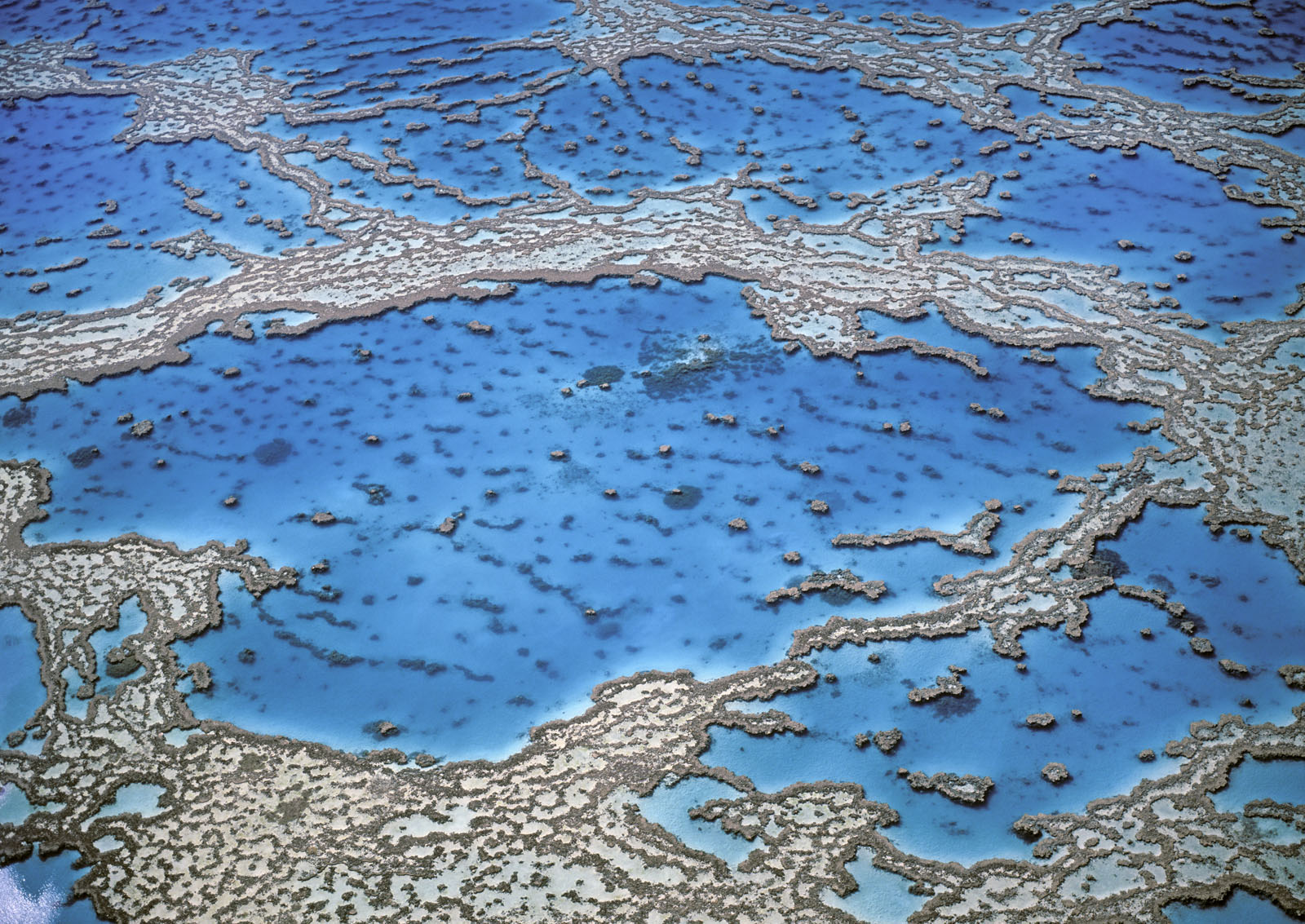 Assuring the future of one of the seven wonders of the world